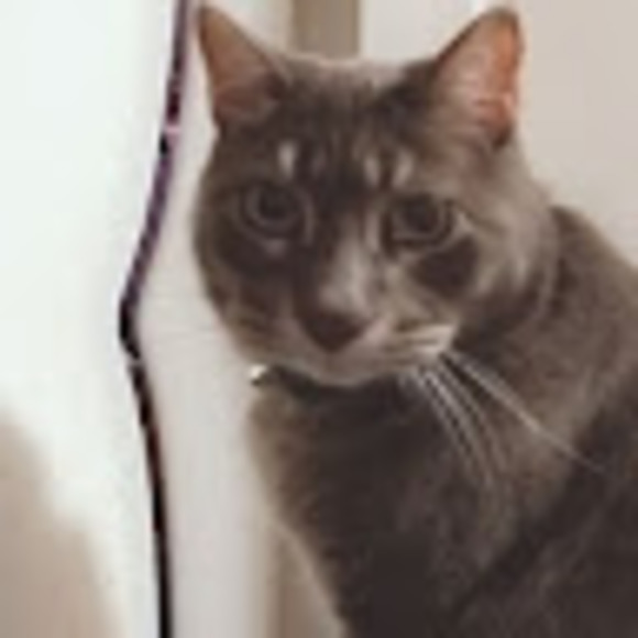 Meet your Posher, Thomas - Picture 1 of 1